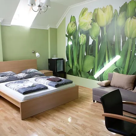 Hunyadi Panzio-apartman Apartment